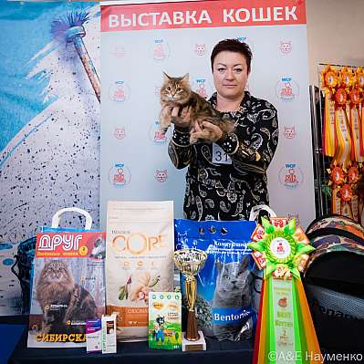 Выставка кошек 15-16.10.2022 Фотографии 11-31-0184_klk_Moskva.jpg