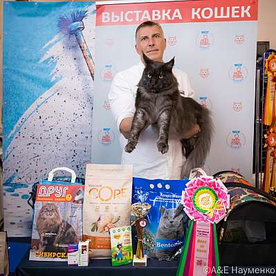Выставка кошек 15-16.10.2022 Фотографии 15-20-0163_klk_Moskva.jpg