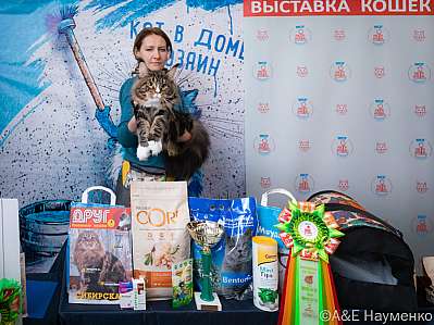 Выставка кошек 15-16.10.2022 Фотографии 2-84-0218_klk_Moskva.jpg
