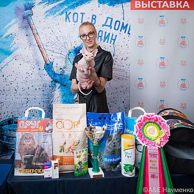 Выставка кошек 15-16.10.2022 Фотографии 3-63-0217_klk_Moskva.jpg