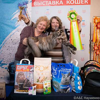 Выставка кошек 15-16.10.2022 Фотографии 6-12-0201_klk_Moskva.jpg