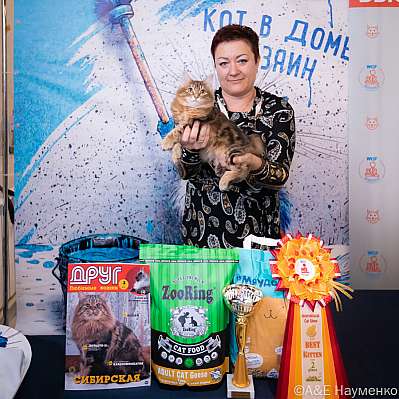 Выставка кошек 15-16.10.2022 Фотографии 12-31-0428_klk_Moskva.jpg
