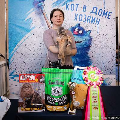 Выставка кошек 15-16.10.2022 Фотографии 17-37-0407_klk_Moskva.jpg