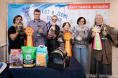 Выставка кошек 15-16.10.2022 Фотографии 18-0460_klk_Moskva.jpg