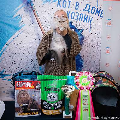 Выставка кошек 15-16.10.2022 Фотографии 3-22-0456_klk_Moskva.jpg
