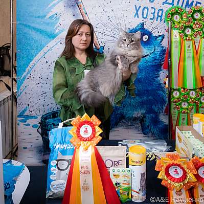 Выставка кошек 15-16.10.2022 Фотографии 4-88-0124_klk_Moskva.jpg
