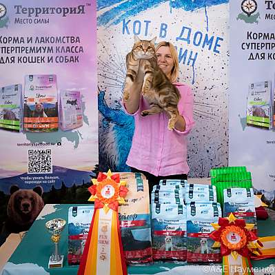 Выставка кошек 15-16.10.2022 Фотографии 2-91-0346_klk_Moskva.jpg