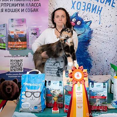 Выставка кошек 15-16.10.2022 Фотографии 3-8-0400_klk_Moskva.jpg