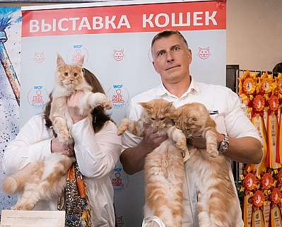 Выставка кошек 15-16.10.2022 Фотографии 7-1-0166_klk_Moskva.jpg