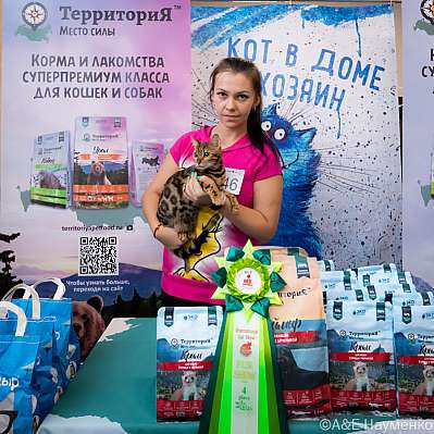 Выставка кошек 15-16.10.2022 Фотографии 4-46-0312_klk_Moskva.jpg