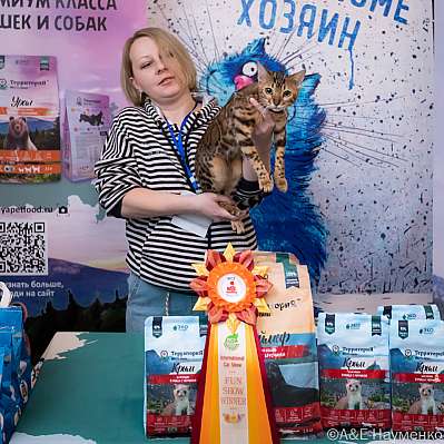 Выставка кошек 15-16.10.2022 Фотографии 9-94-0325_klk_Moskva.jpg