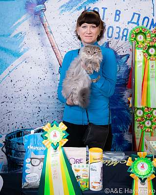 Выставка кошек 15-16.10.2022 Фотографии 10-27-0154_klk_Moskva.jpg