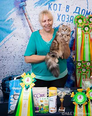 Выставка кошек 15-16.10.2022 Фотографии 3-35-0141_klk_Moskva.jpg