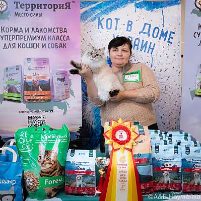 Выставка кошек 15-16.10.2022 Фотографии 4-100-0277_klk_Moskva.jpg