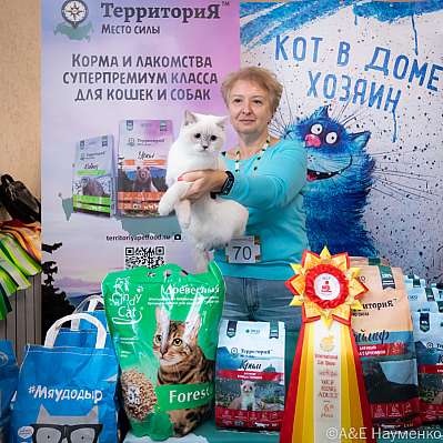 Выставка кошек 15-16.10.2022 Фотографии 6-70-0273_klk_Moskva.jpg