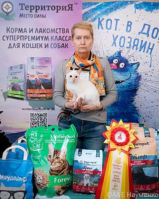 Выставка кошек 15-16.10.2022 Фотографии 8-79-0274_klk_Moskva.jpg