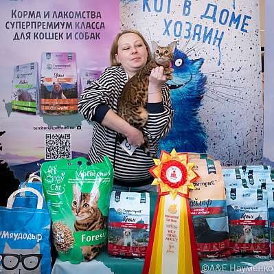 Выставка кошек 15-16.10.2022 Фотографии 9-94-0278_klk_Moskva.jpg