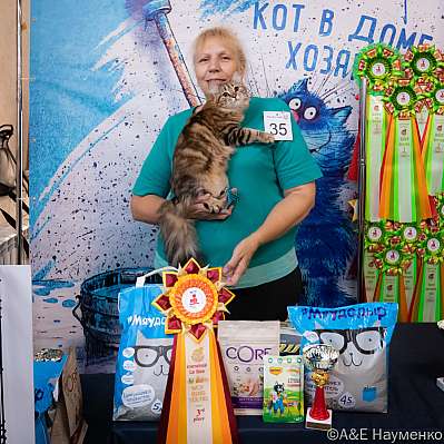 Выставка кошек 15-16.10.2022 Фотографии 3-35-0107_klk_Moskva.jpg