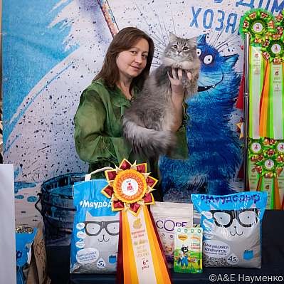 Выставка кошек 15-16.10.2022 Фотографии 6-88-0113_klk_Moskva.jpg