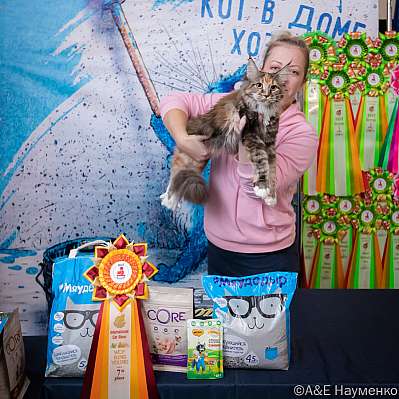 Выставка кошек 15-16.10.2022 Фотографии 7-107-0120_klk_Moskva.jpg
