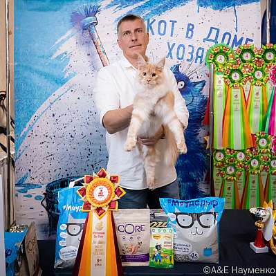 Выставка кошек 15-16.10.2022 Фотографии 9-97-0104_klk_Moskva.jpg