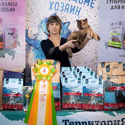 Выставка кошек 15-16.10.2022 Фотографии 3-51-0238_klk_Moskva.jpg