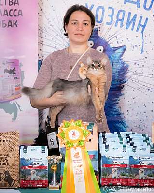 Выставка кошек 15-16.10.2022 Фотографии 4-37-0266_klk_Moskva.jpg