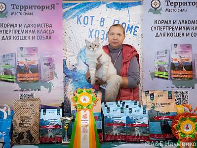 Выставка кошек 15-16.10.2022 Фотографии 5-36-0253_klk_Moskva.jpg