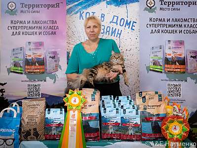 Выставка кошек 15-16.10.2022 Фотографии 7-35-0241_klk_Moskva.jpg
