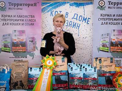 Выставка кошек 15-16.10.2022 Фотографии 8-61-0246_klk_Moskva.jpg