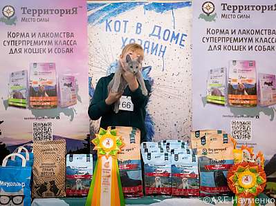Выставка кошек 15-16.10.2022 Фотографии 9-66-0250_klk_Moskva.jpg