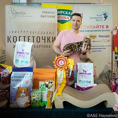 Выставка кошек 18-19.03.2023 Фотографии 3-45-0269_Moskva.jpg