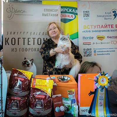 Выставка кошек 18-19.03.2023 Фотографии 4-25-0204_Moskva.jpg