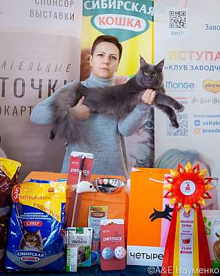 Выставка кошек 18-19.03.2023 Фотографии 5-13-0090_Moskva.jpg