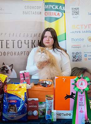 Выставка кошек 18-19.03.2023 Фотографии 5-4-0153_Moskva.jpg