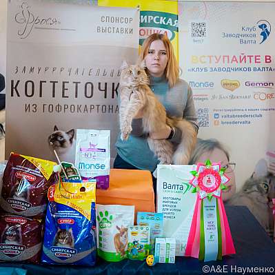 Выставка кошек 18-19.03.2023 Фотографии 8-16-0187_Moskva.jpg