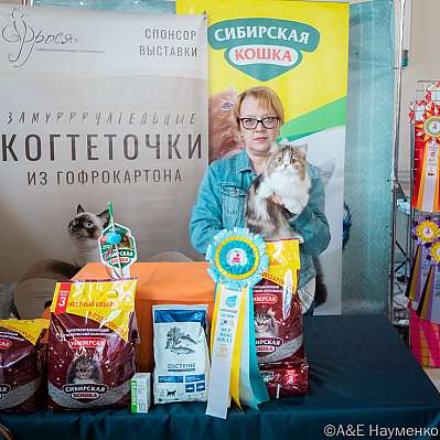 Выставка кошек 18-19.03.2023 Фотографии 8-5-0339_Moskva.jpg