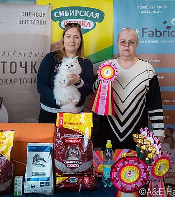 Выставка кошек 18-19.03.2023 Фотографии 7-3-0274_Moskva.jpg