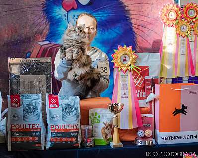 Выставка кошек 15-16.04.2023 Фотографии  12-38-629.jpg